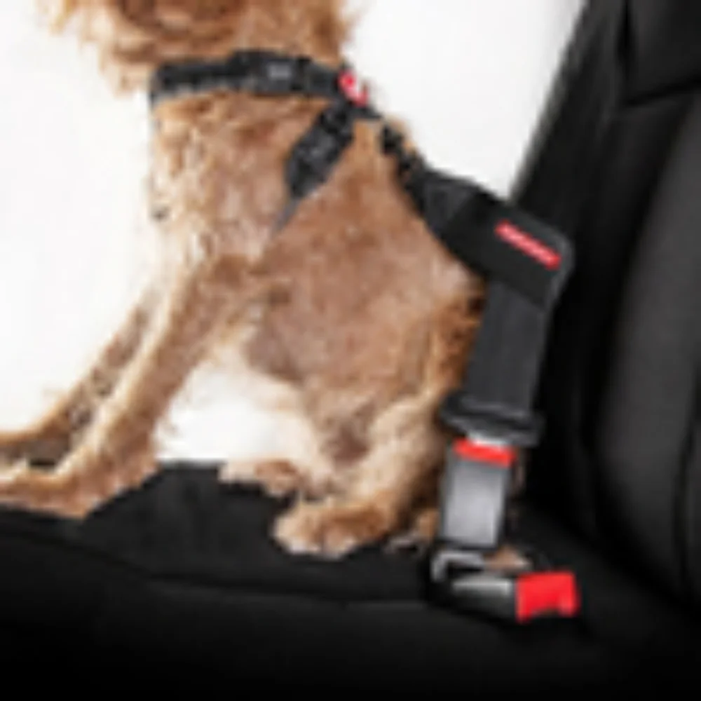Ezy pet dog Or Cat Car Seat Belt Restraint